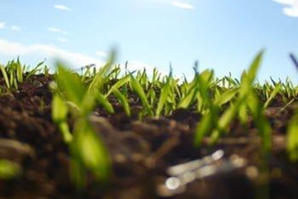 Potash Investing