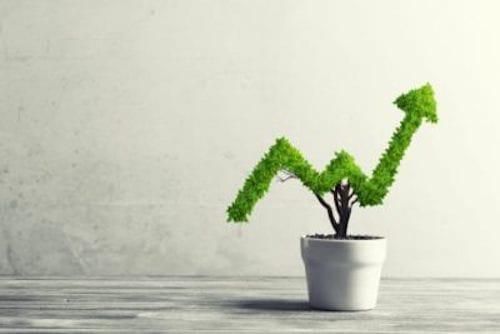 potted plant growing as a graph arrow