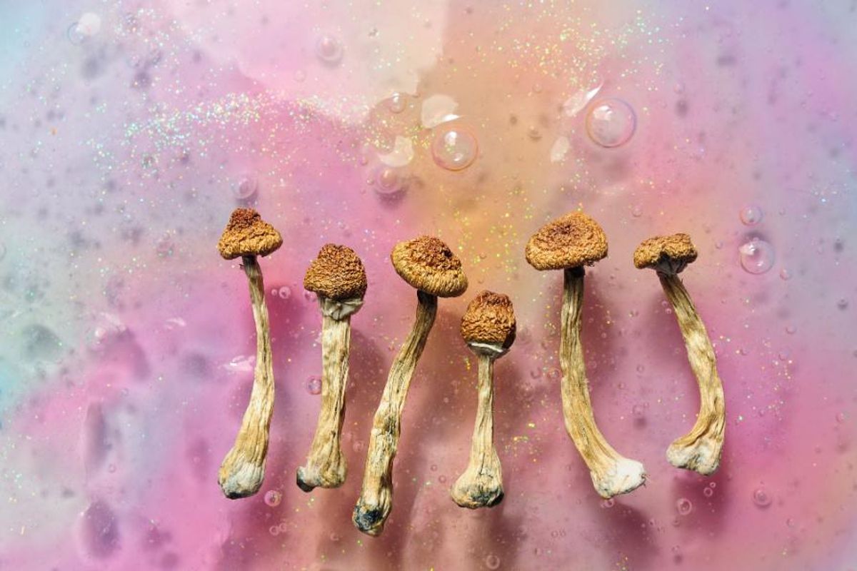 psychedelic mushrooms