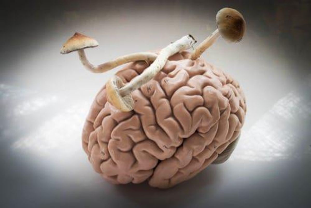 Psychedelics Investing