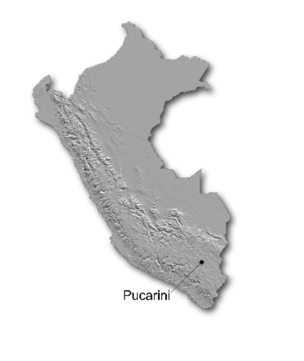 Pucarini