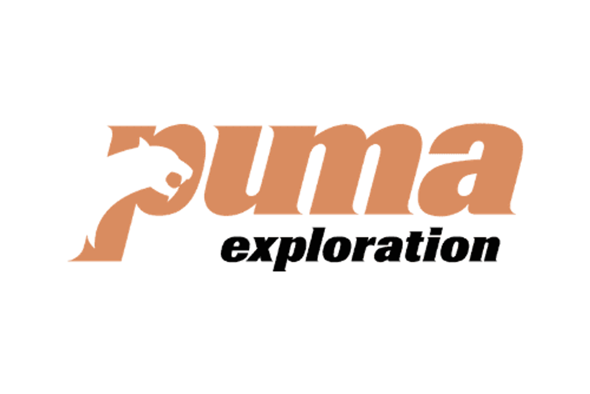 puma logo 3d