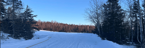 Image for Raptor Metals