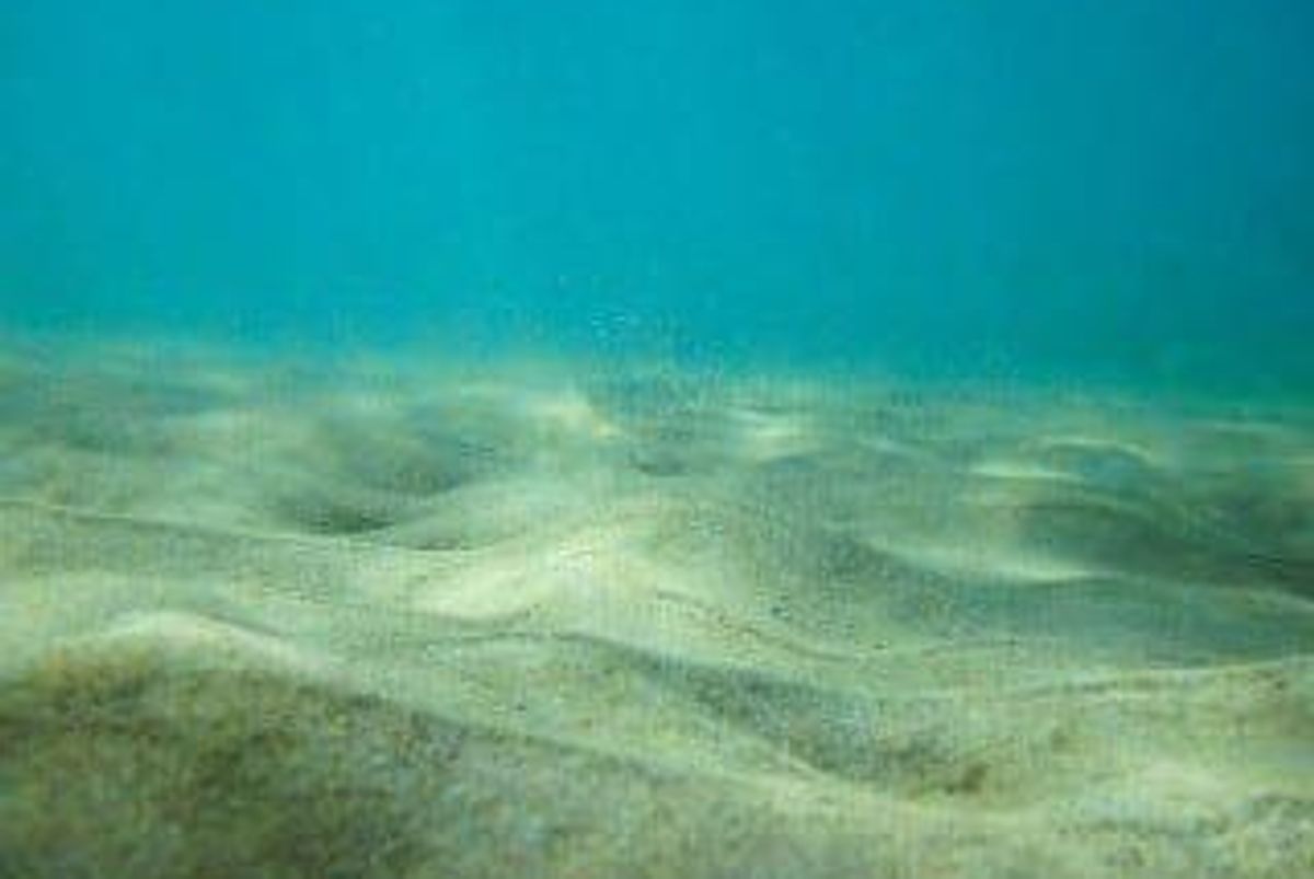 Rare Earth Investing