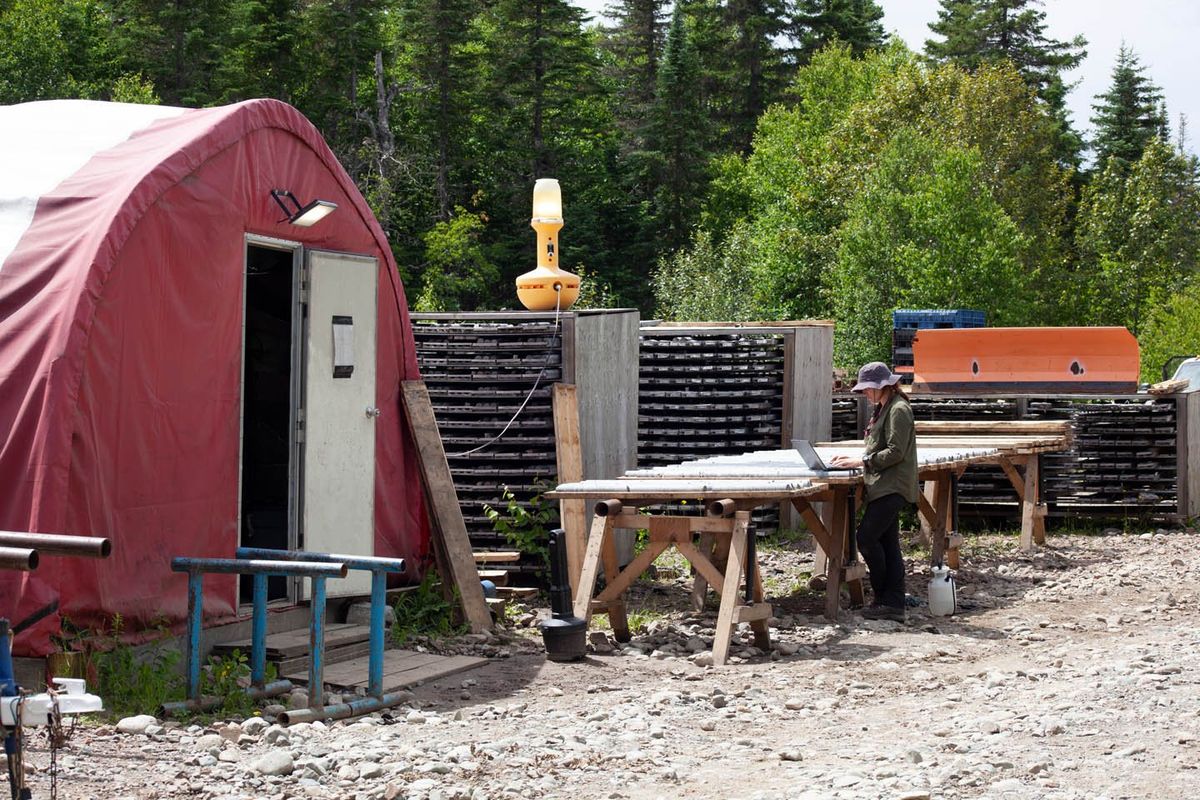 Red Pine's core shack at the Wawa gold project.