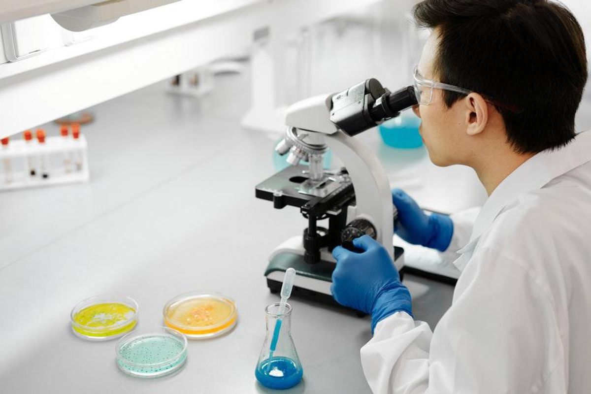 researcher in a laboratory environment