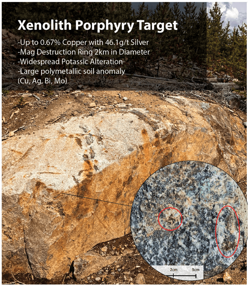 Rock surface labeled 'Xenolith Porphyry Target' detailing mineral composition at Flow Metals' new Brenda project