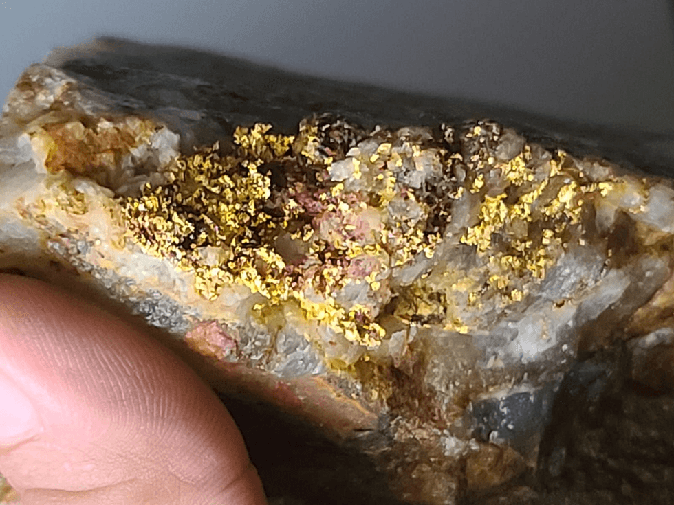 Sample rock with shiny yellow and brown mineral clusters collected from Sranan Gold's Tapanahony project