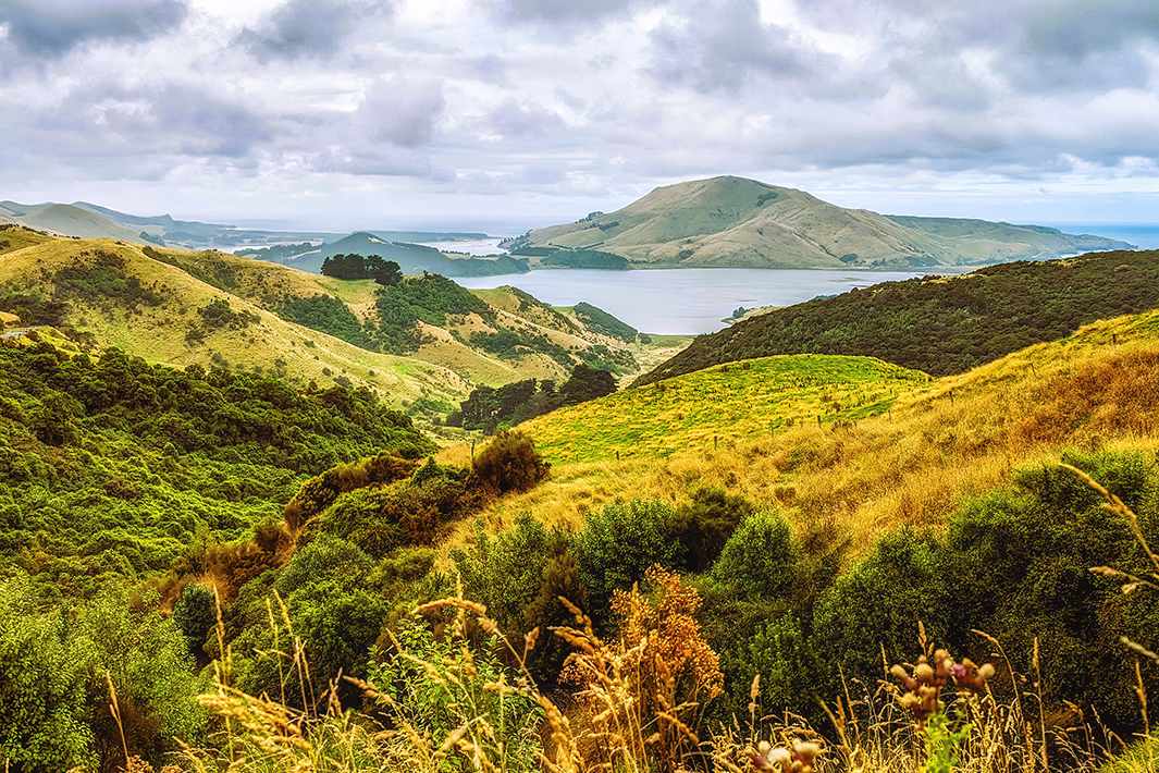 Sandymount, Otago Peninsula, Dunedin, South Island, New Zealand.