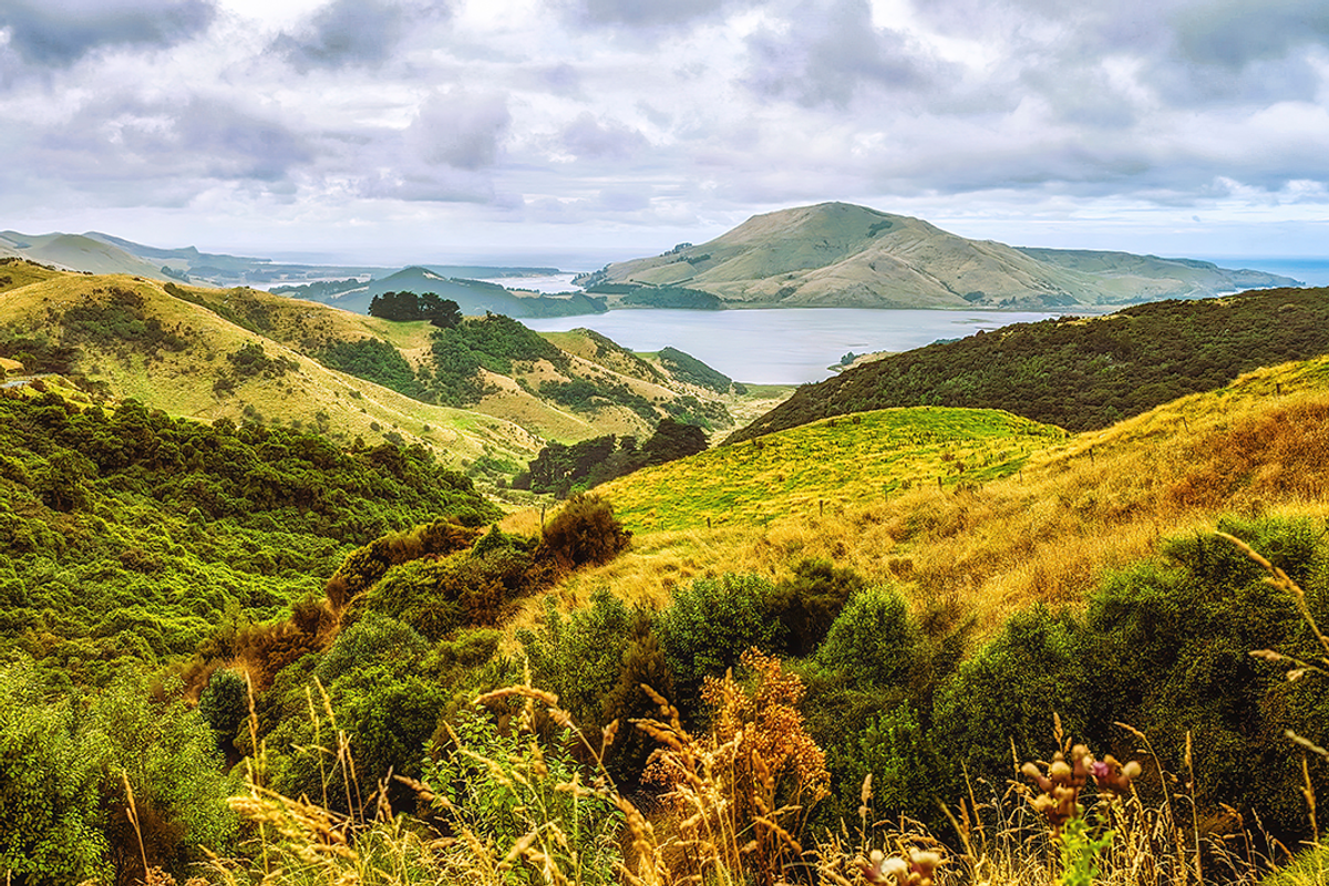 Sandymount, Otago Peninsula, Dunedin, South Island, New Zealand.