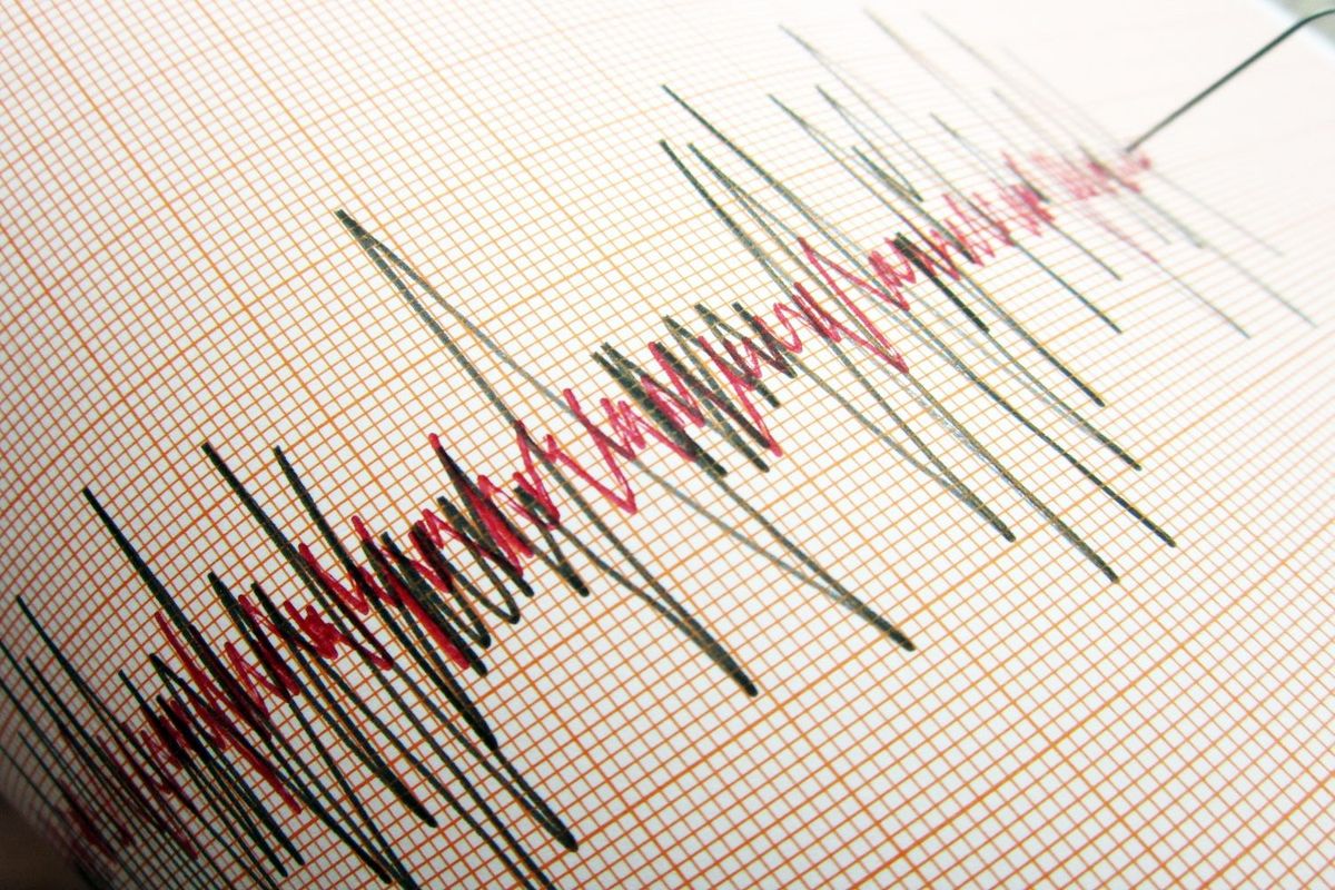 Seismic graph.