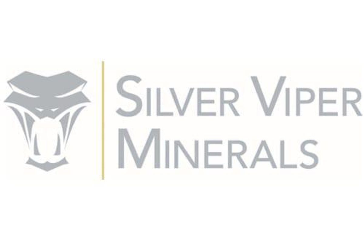 silver viper minerals stock