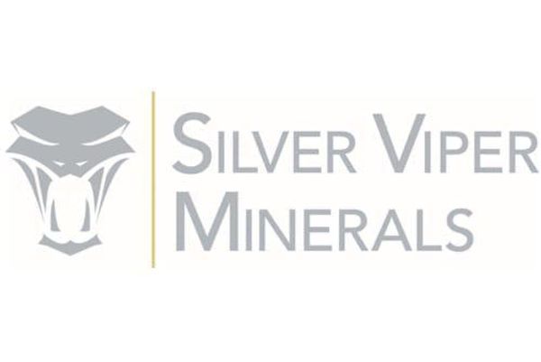 Silver Viper