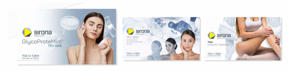 Sirona's key business segments