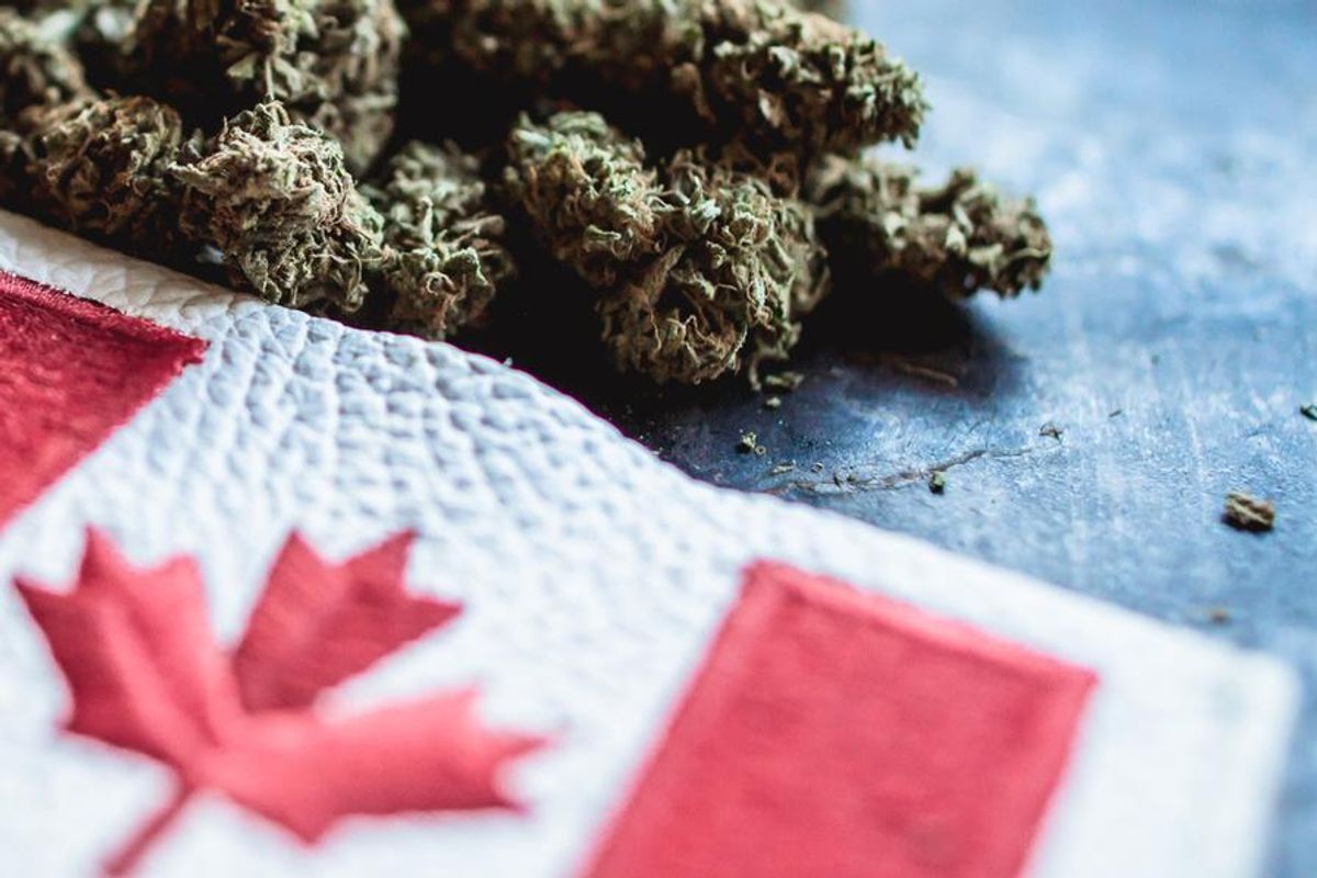 small canadian flag next to cannabis bud