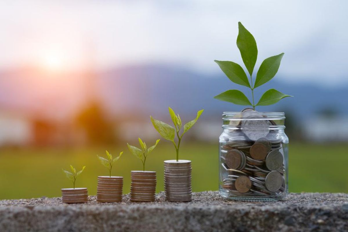 Small plants sit atop small stacks of coins.