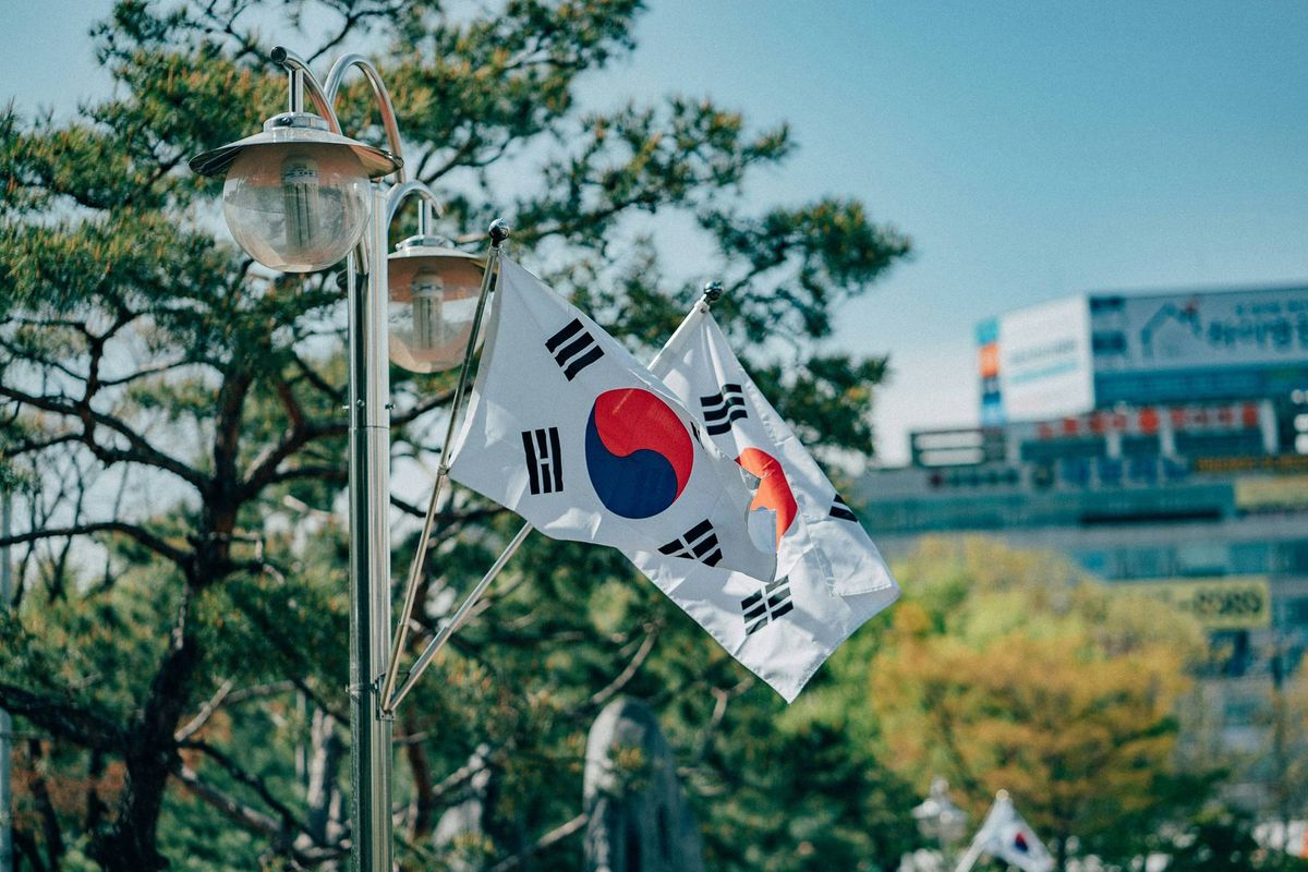 South Korean flags on a lamppost in a sunny urban setting with trees and buildings.