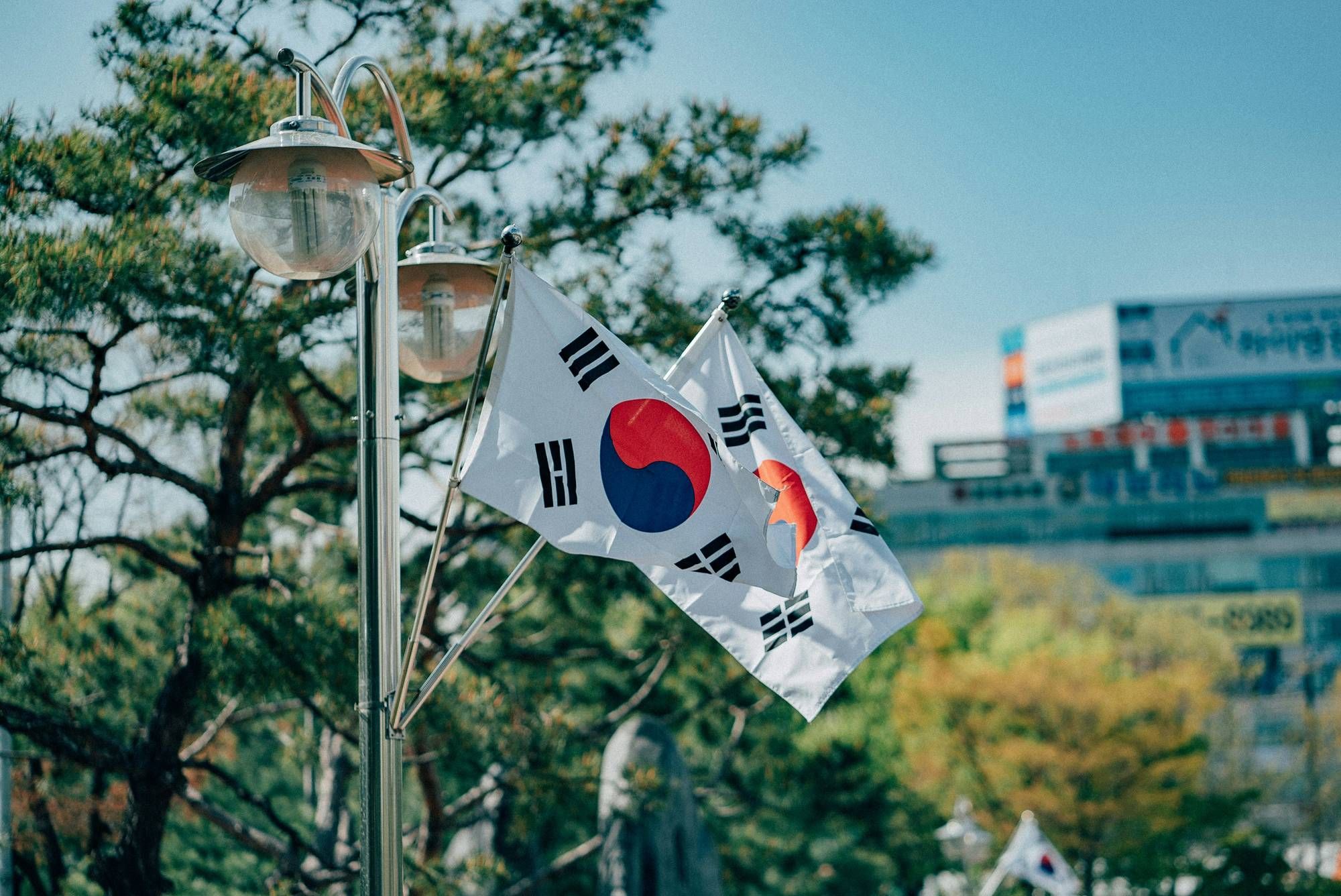 South Korean flags on a lamppost in a sunny urban setting with trees and buildings.
