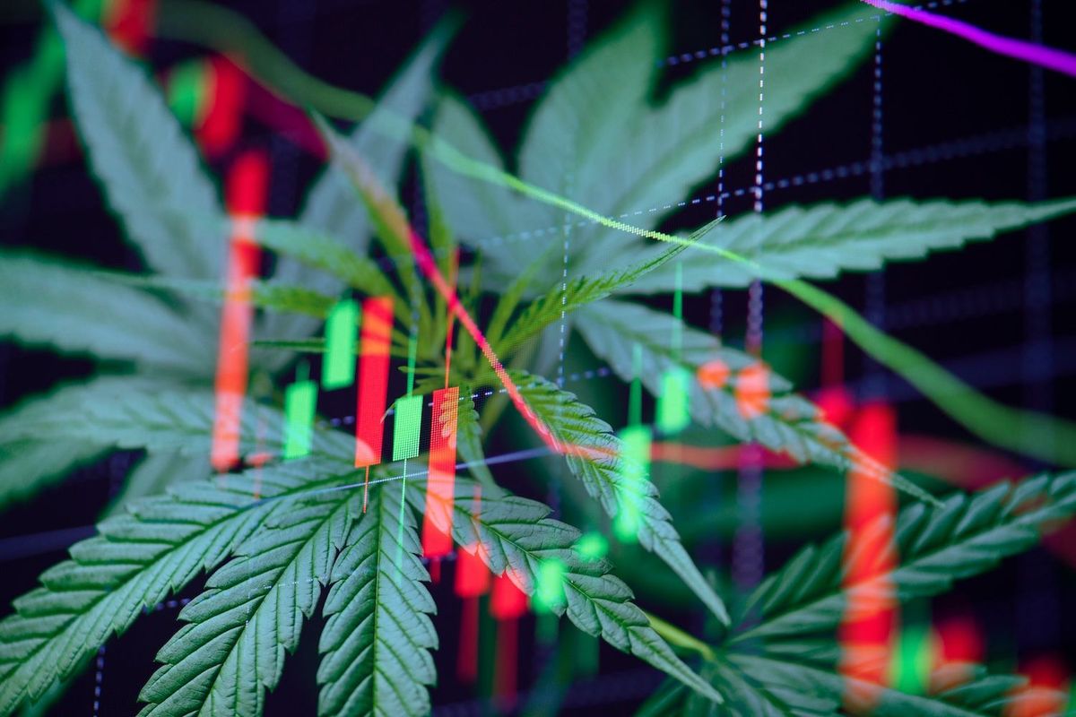 Stock chart over cannabis leaves.