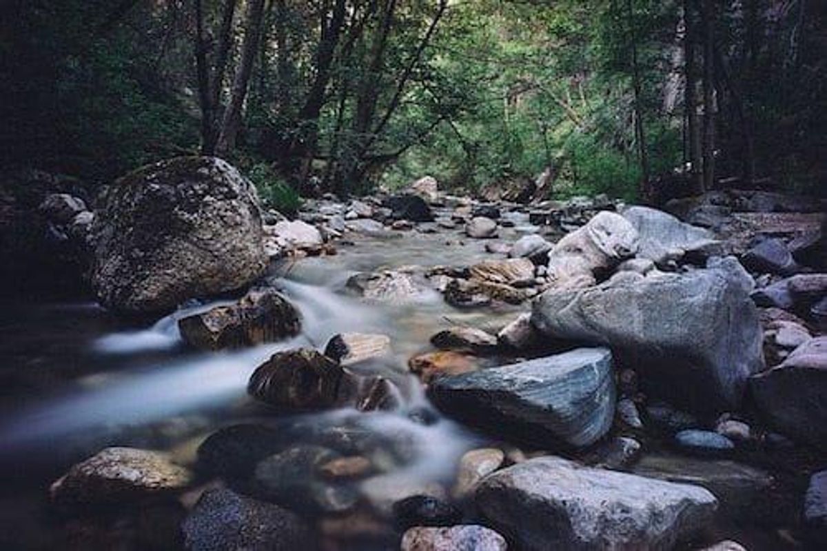 stream cascading down rock bed in forest