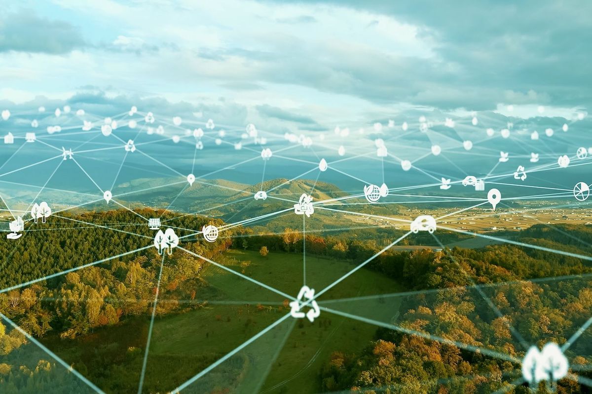 Tech grid overlaying forest.