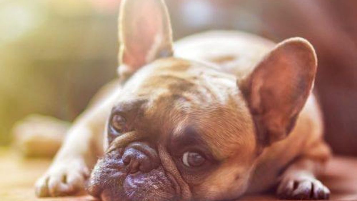 Technology Investing