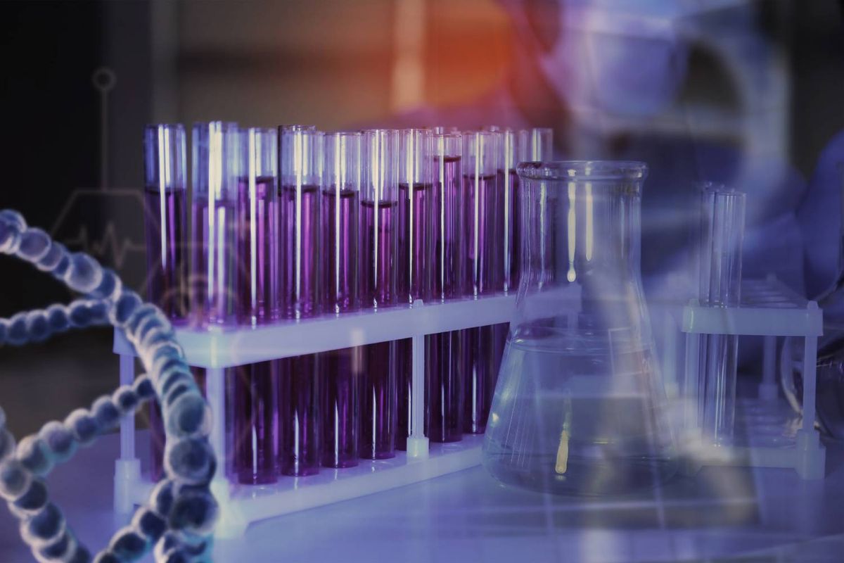 Test tubes with purple liquid alongside DNA model and beaker.