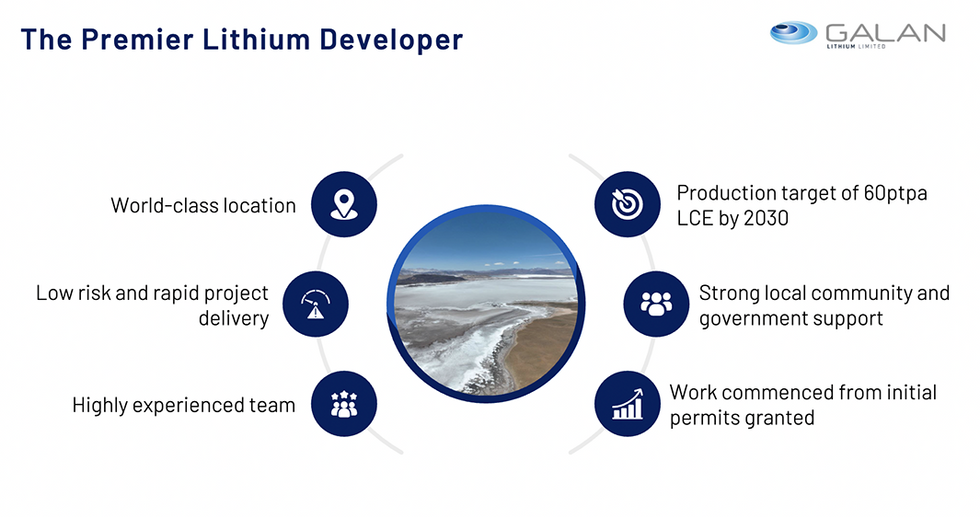 The Premier Lithium Developer