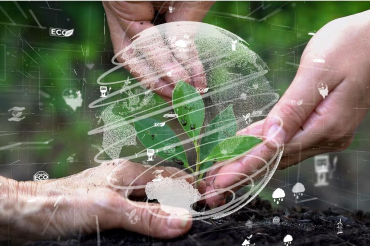 three hands reach to touch a small plant that has an illustration of the globe laid on top of it