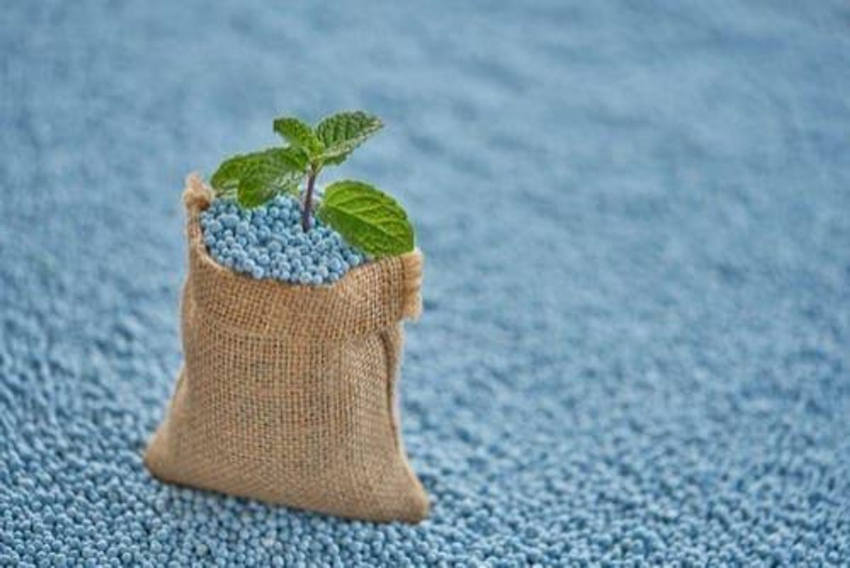 tiny bag of potash with a plant growing out of it