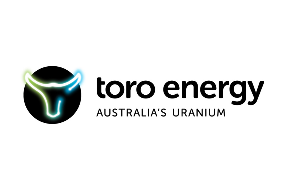 Pilot Plant for Wiluna Uranium Project Development