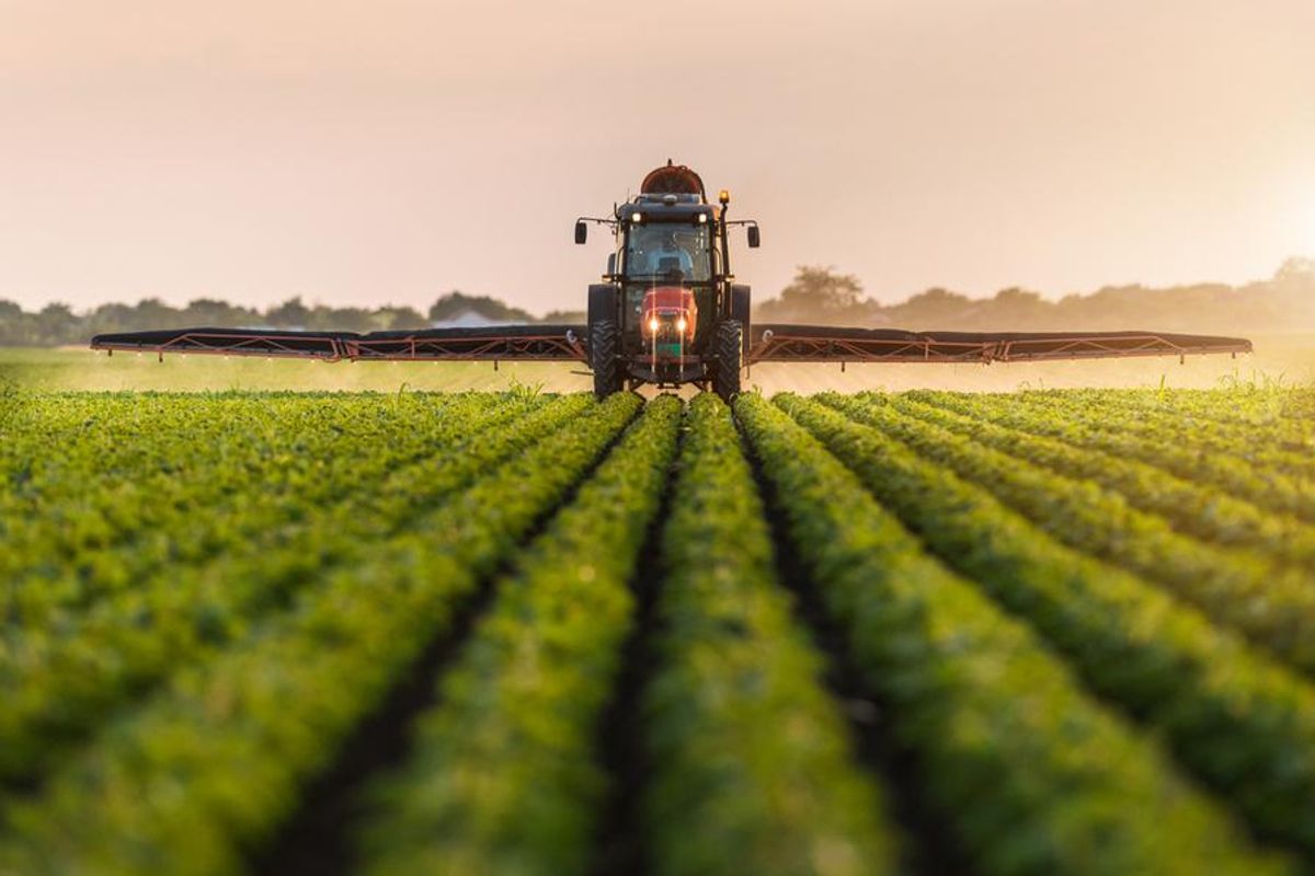 tractor being driven through green crops