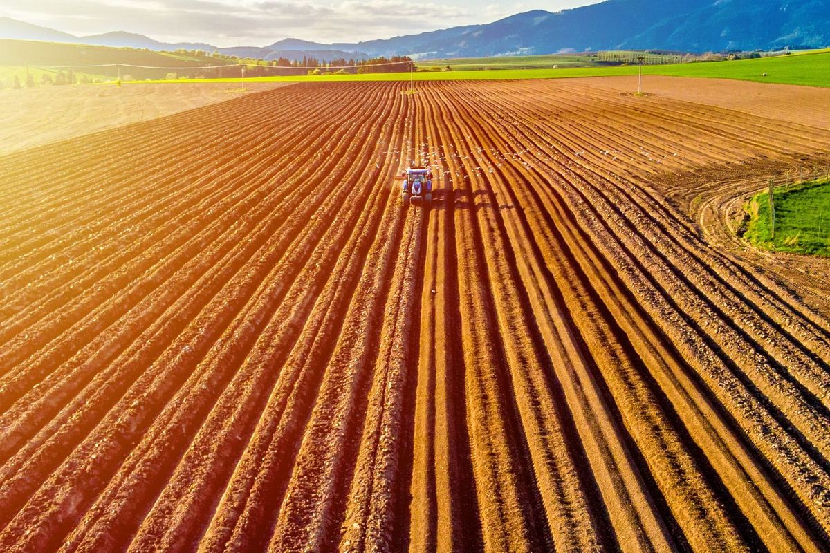 Tractor plowing large, sunlit field with mountains in the background.