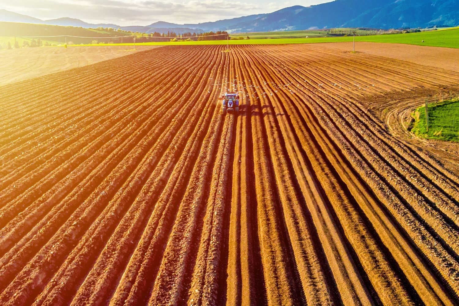 Tractor plowing large, sunlit field with mountains in the background.