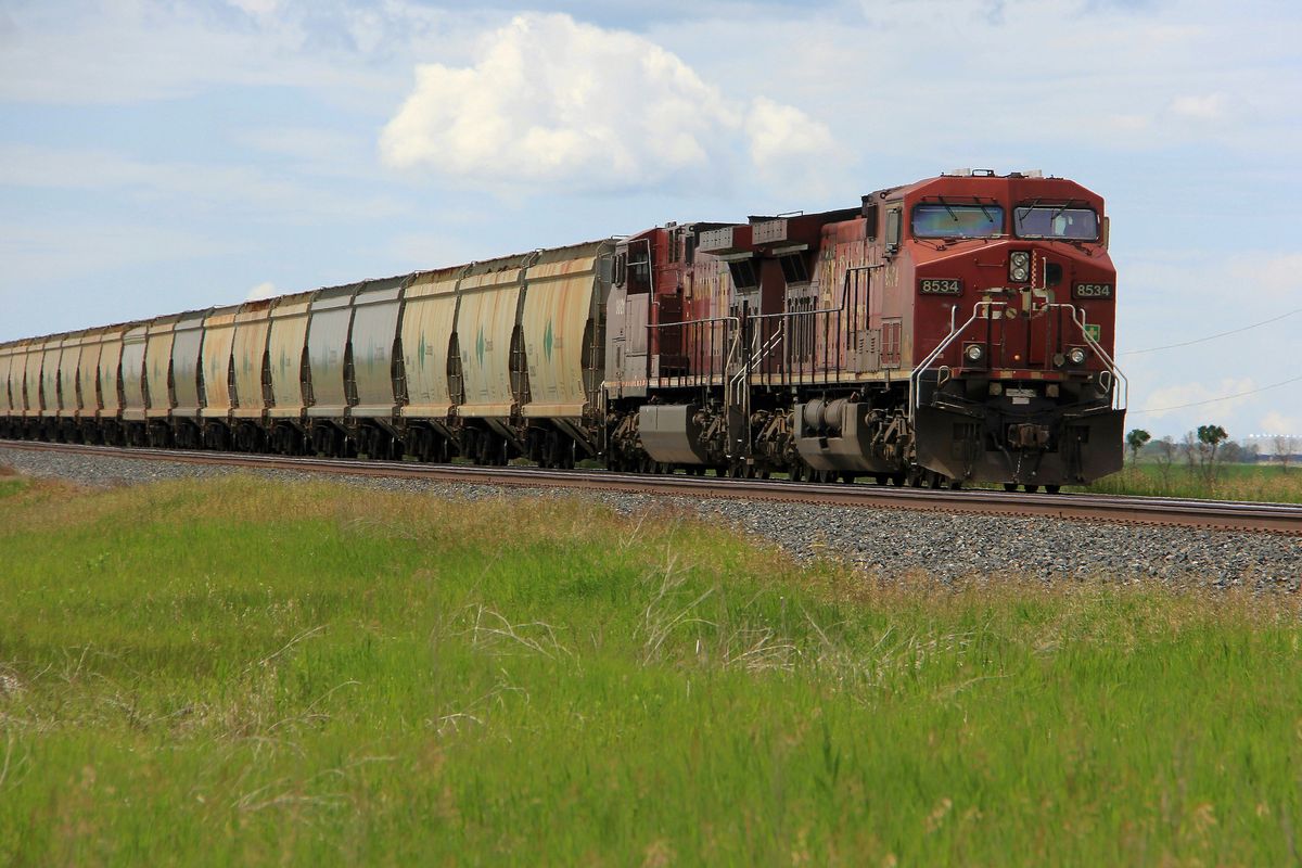 Train against green grass.