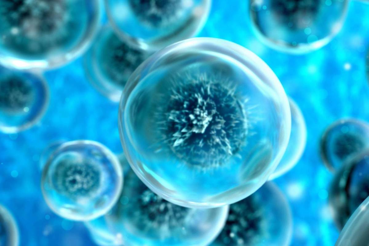 Transparent blue cells with dark centers floating against a vibrant blue background.