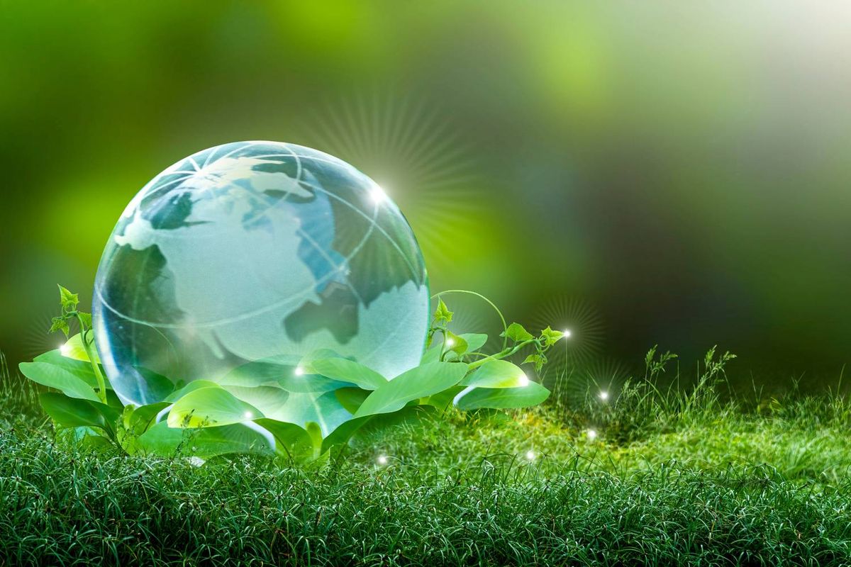 Transparent globe on green leaves, set against a vibrant nature background.