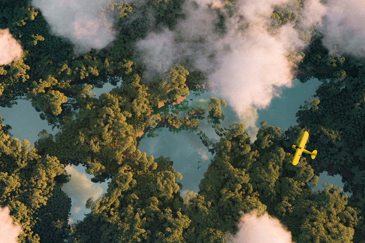 trees and clouds from above