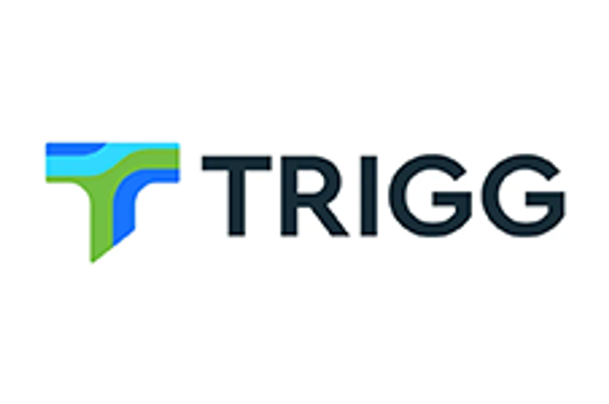 Trigg Minerals (ASX:TMG)