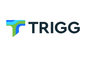 trigg minerals