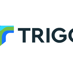 trigg minerals