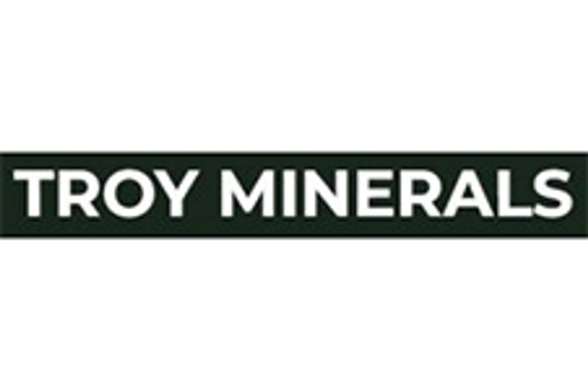 Troy Minerals (CSE:TROY)