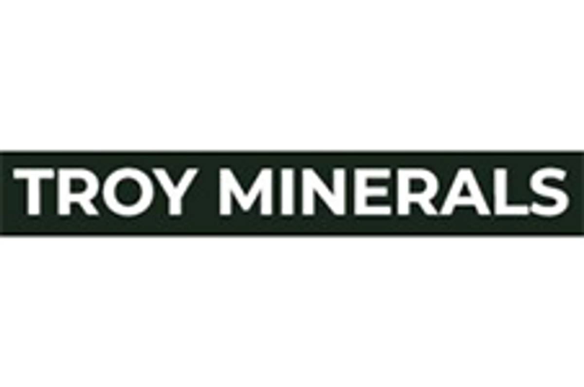 Troy Minerals Inc. (CSE:TROY)