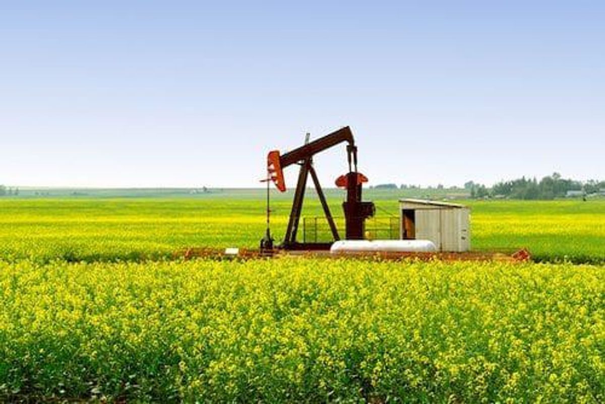 TSXV:CSL