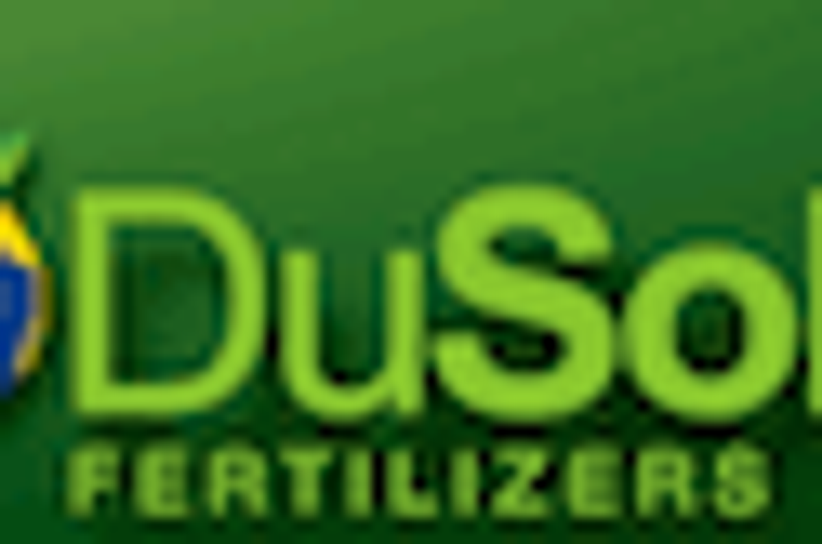 TSXV:DSF