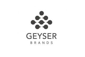 geyser brands