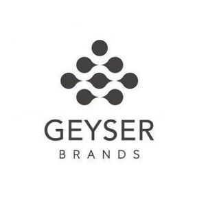 geyser brands