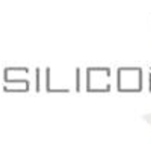 hpq silicon