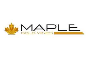 maple gold mines