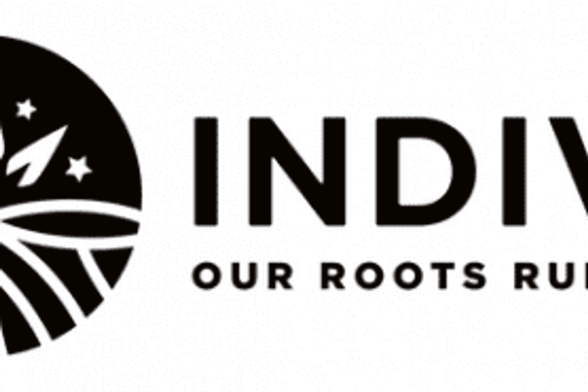 TSXV:NDVA
